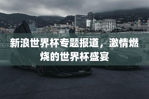 新浪世界杯专题报道，激情燃烧的世界杯眉山市正发家政服务有限公司盛宴
