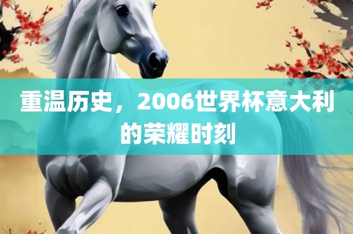 世界杯历史 第5页