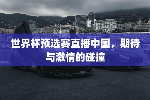 世界杯预选赛直播中国，期待与激情的碰撞