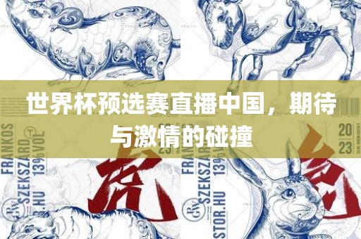 世界杯预选赛直播中国，期待与激情的碰撞