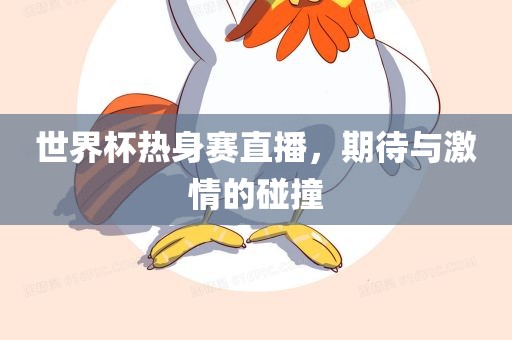 世界杯热身赛直播，期待与激情的碰撞