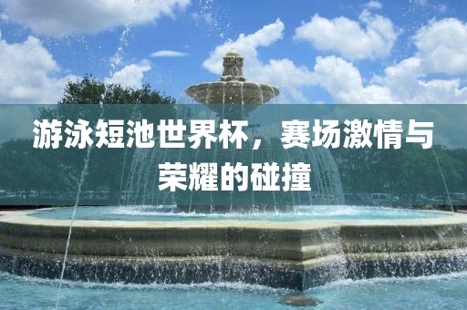 游泳短池世界杯，赛场激情与荣耀的碰撞眉山市正发家政服务有限公司