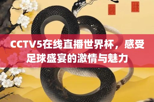 CCTV5在线直播世界杯，感受足球盛宴的激情与魅力