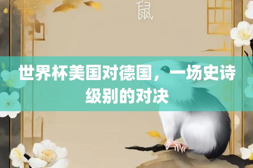 世界杯美国对德国眉山市正发家政服务有限公司，一场史诗级别的对决