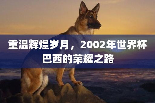 重温辉煌岁月，2002年世界杯巴西的荣耀之路眉山市正发家政服务有限公司