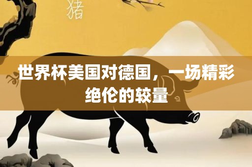 世界杯美国对德国，一场精彩眉山市正发家政服务有限公司绝伦的较量