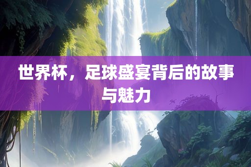 世界杯，足球盛宴背后的故事与魅力眉山市正发家政服务有限公司