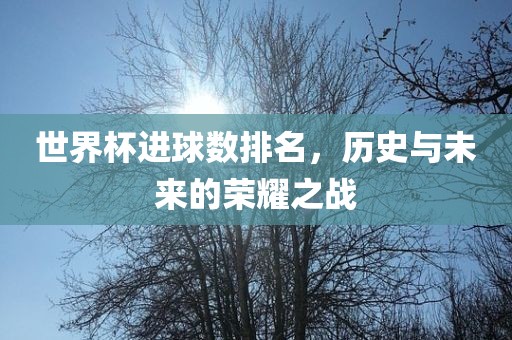 世界杯进球数排名，历史与未来的荣耀之战