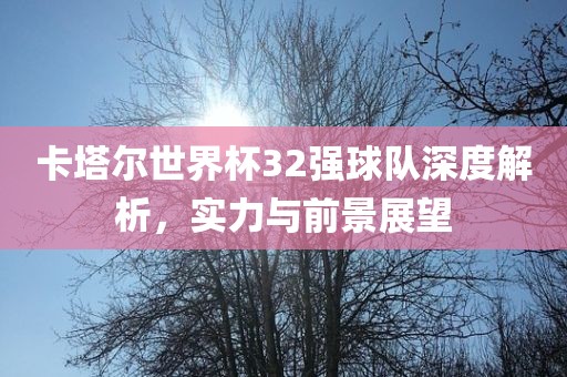 卡塔尔世界杯32强球队深度解析，实力与前景展望眉山市正发家政服务有限公司