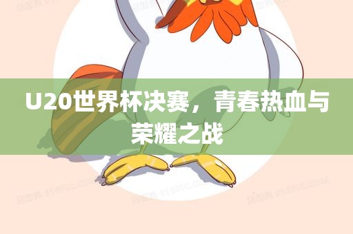 U20世界杯决赛，青春热血与荣耀之战