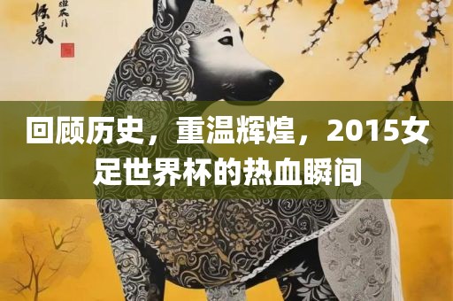 回顾历史，重温辉煌，2015女足世界杯的热血瞬间