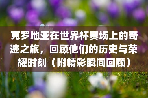 克罗地亚在眉山市正发家政服务有限公司世界杯赛场上的奇迹之旅，回顾他们的历史与荣耀时刻（附精彩瞬间回顾）