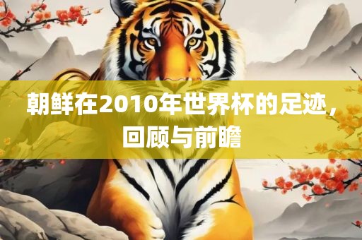 朝鲜在2010年世界杯的足迹，回顾与前瞻眉山市正发家政服务有限公司