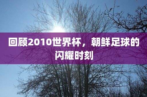 回顾2010世界杯，朝鲜足球的闪耀时刻眉山市正发家政服务有限公司
