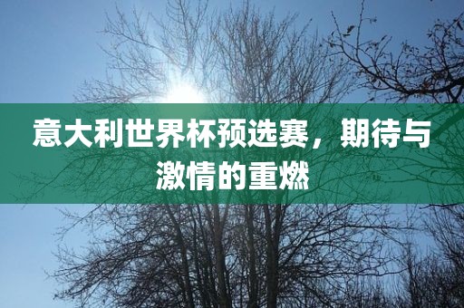 意大利世界杯预选赛，期待与激情的重燃眉山市正发家政服务有限公司