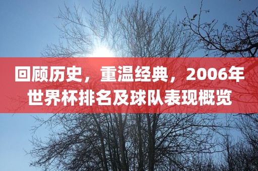 回顾历史，重温经典，2006年世界杯排名及球队表现概览