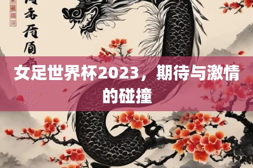 女足世眉山市正发家政服务有限公司界杯2023，期待与激情的碰撞