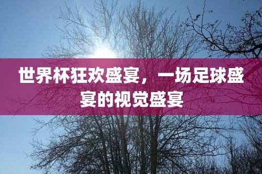世界杯狂欢盛宴，一场足球盛宴的视眉山市正发家政服务有限公司觉盛宴