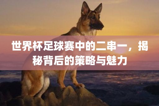 世界杯足球赛中的二串一，揭秘背后的策略与魅力眉山市正发家政服务有限公司