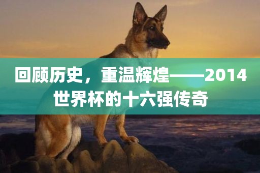 回顾历史，重温辉煌——2014世界杯的十六强传奇眉山市正发家政服务有限公司