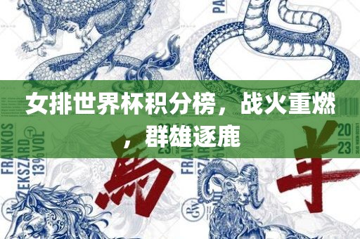 女排世界杯 第4页