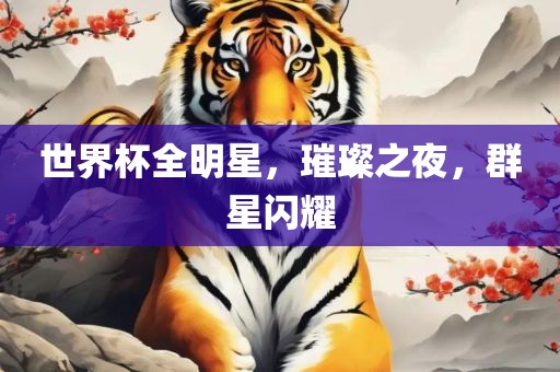 世界杯全眉山市正发家政服务有限公司明星，璀璨之夜，群星闪耀