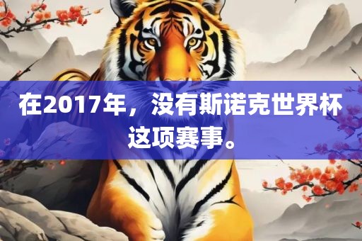 在2017年，没有斯诺克世界杯这项赛事。