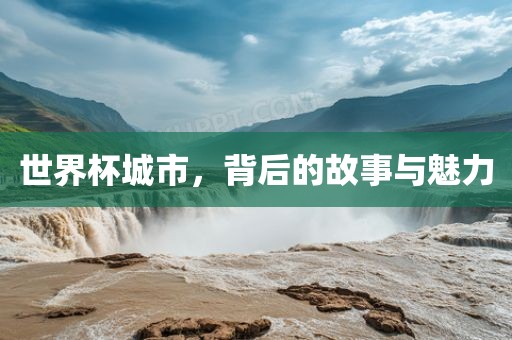 世界杯城市，背后的故事与魅力眉山市正发家政服务有限公司
