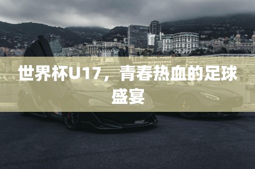 世界杯U17，眉山市正发家政服务有限公司青春热血的足球盛宴