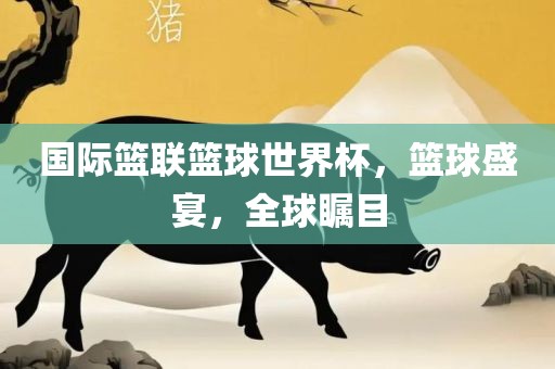 国际篮联篮球世界杯，篮球盛宴，全球瞩目眉山市正发家政服务有限公司