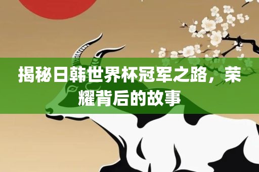 揭秘日韩世界杯冠军之路，荣耀背后的故事眉山市正发家政服务有限公司