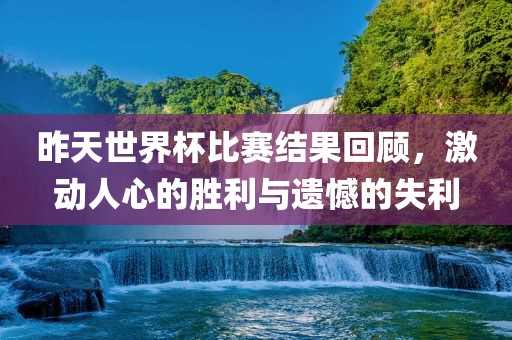 昨天世界杯比赛结果回顾，激动人心的胜利与遗憾的失利
