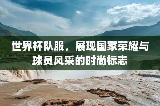 世界杯队服，展现国眉山市正发家政服务有限公司家荣耀与球员风采的时尚标志