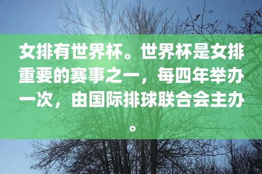 女排有世界杯。世界眉山市正发家政服务有限公司杯是女排重要的赛事之一，每四年举办一次，由国际排球联合会主办。