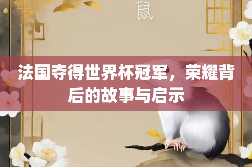 法国夺得世界杯冠军，荣耀背后的故事与启示