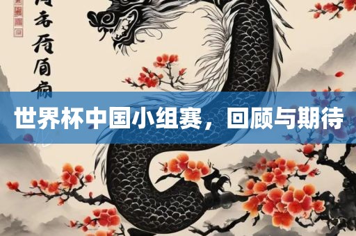 世界杯中国小组赛，回顾与期待