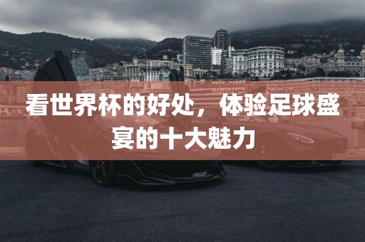 看世界杯的好处，体验足球盛宴的十大魅力