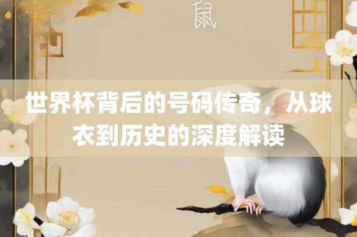 世界杯背后的号码传奇，从球衣到历史的深度解读眉山市正发家政服务有限公司