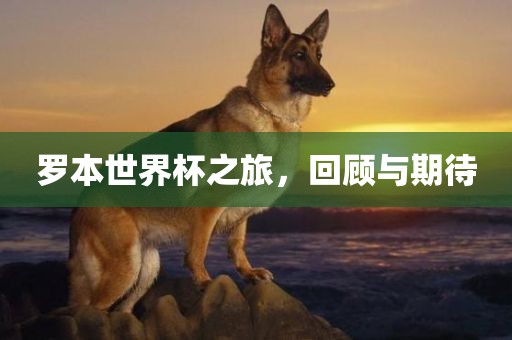 罗本世界杯之旅，回顾与期待