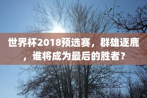 世界杯2018预选赛，群雄逐鹿，谁将成为最后的胜者？