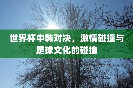 世界杯中韩对决，激情碰撞与足球文化的碰撞