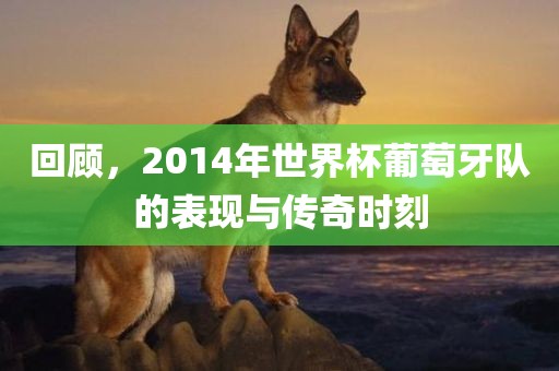 回顾，2014年世界杯葡萄牙队的表现与传奇时刻