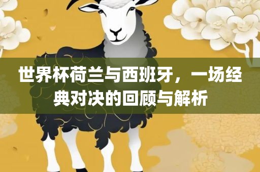 世界杯荷兰与西班牙，一场经典对决的回顾与解析