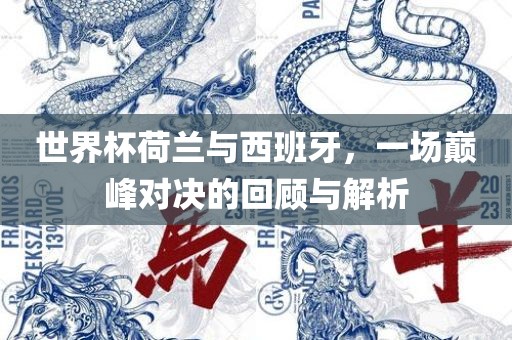 世界杯荷兰与西班牙，一场巅峰对决的回顾与解析