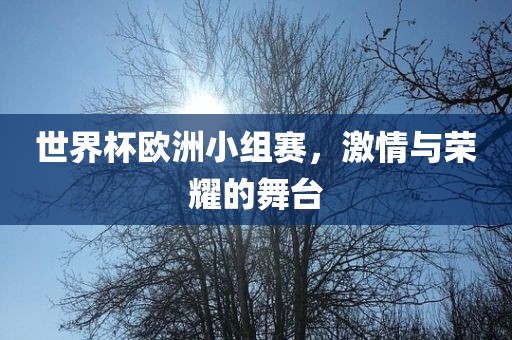 世界杯欧洲小组赛，激情与荣耀的舞台眉山市正发家政服务有限公司