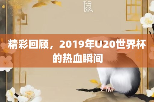 精彩回顾，2019年U20世界杯的热血瞬间