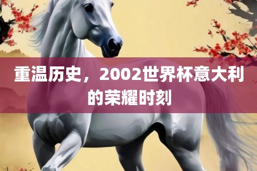 重温历史，2002世界杯意大利的荣耀时刻眉山市正发家政服务有限公司