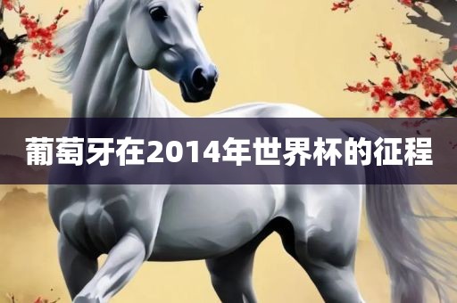 葡萄牙在2014年世界杯的征程眉山市正发家政服务有限公司