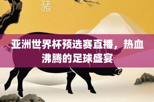 亚洲世界杯预选赛直播，热血沸腾的足球盛宴