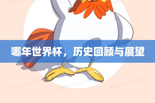 哪年世界杯，历史回顾与展望眉山市正发家政服务有限公司